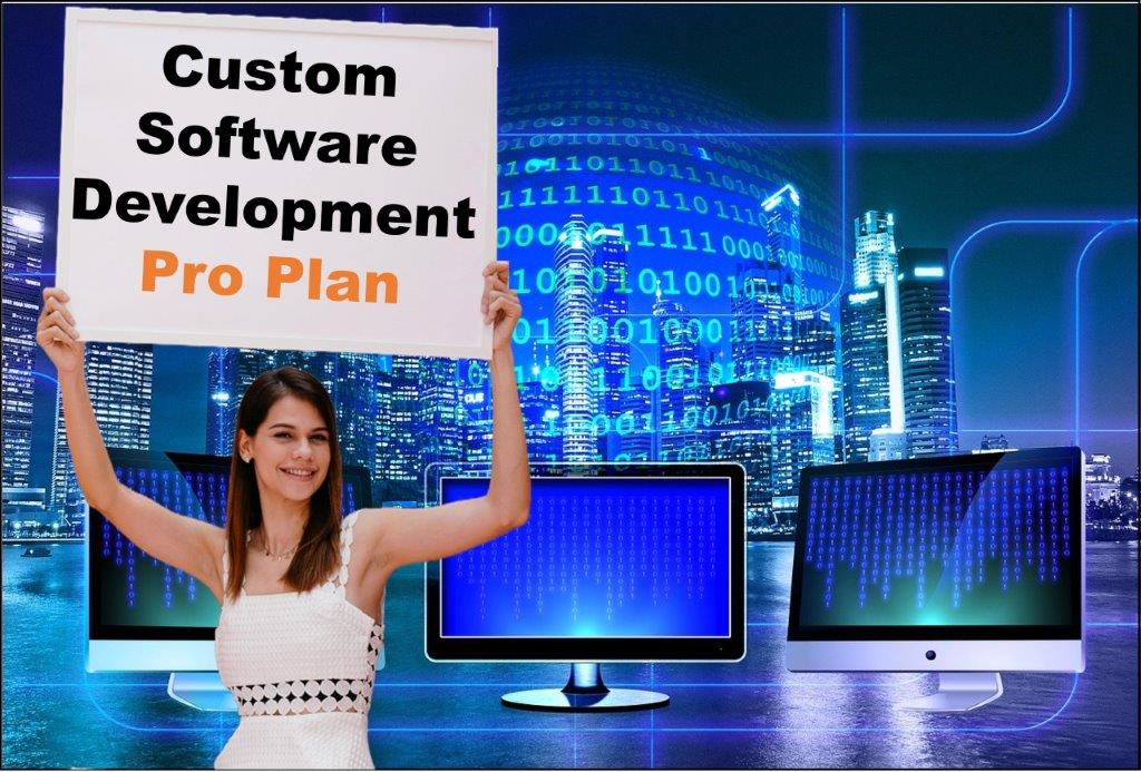 custom software development agency in Madison Wisconsin