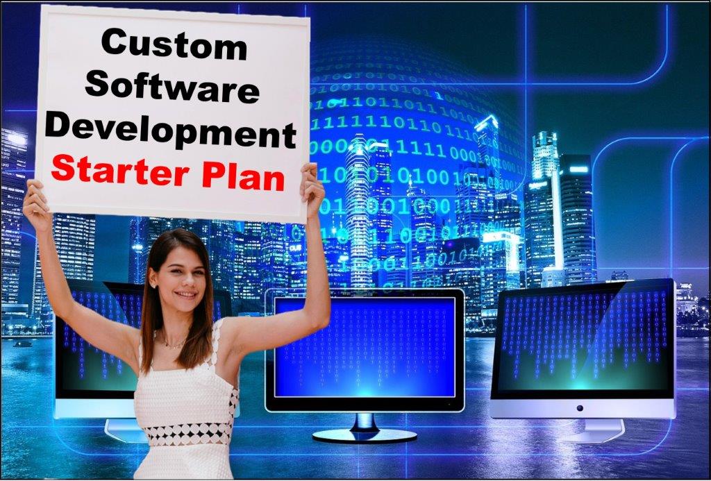 Custom Software Development in Madison Wisconsin