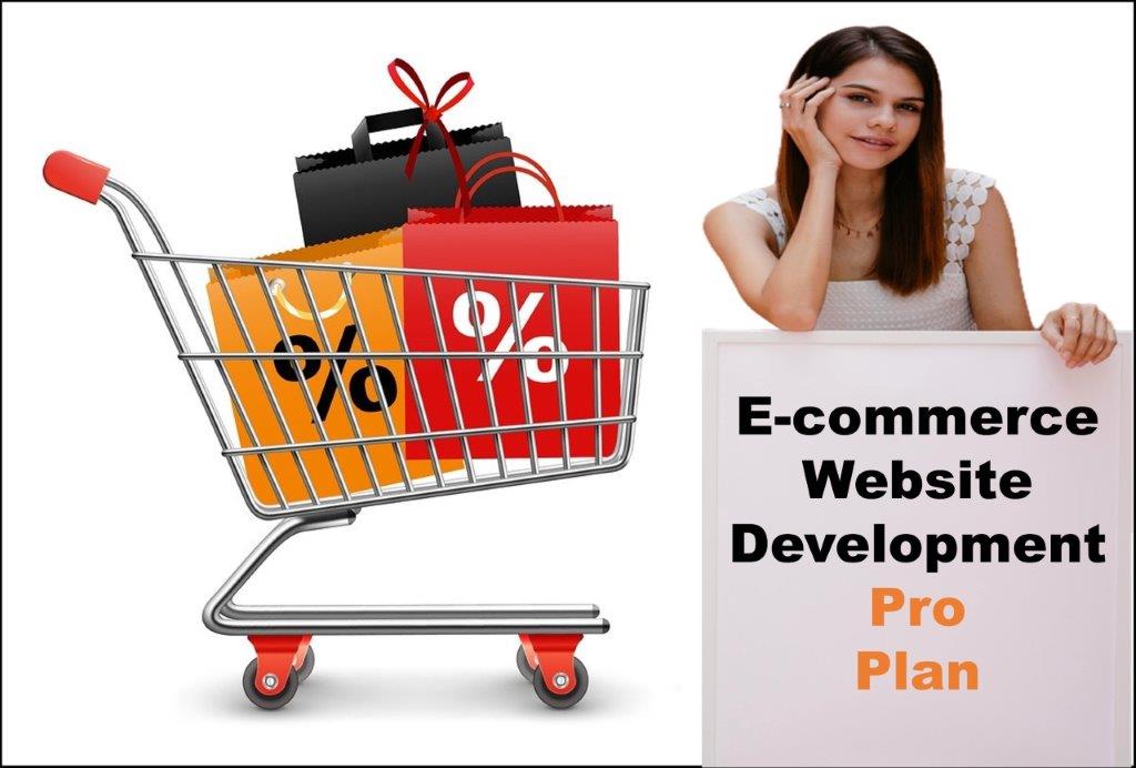 professional ecommerce website development agency in Madison Wisconsin