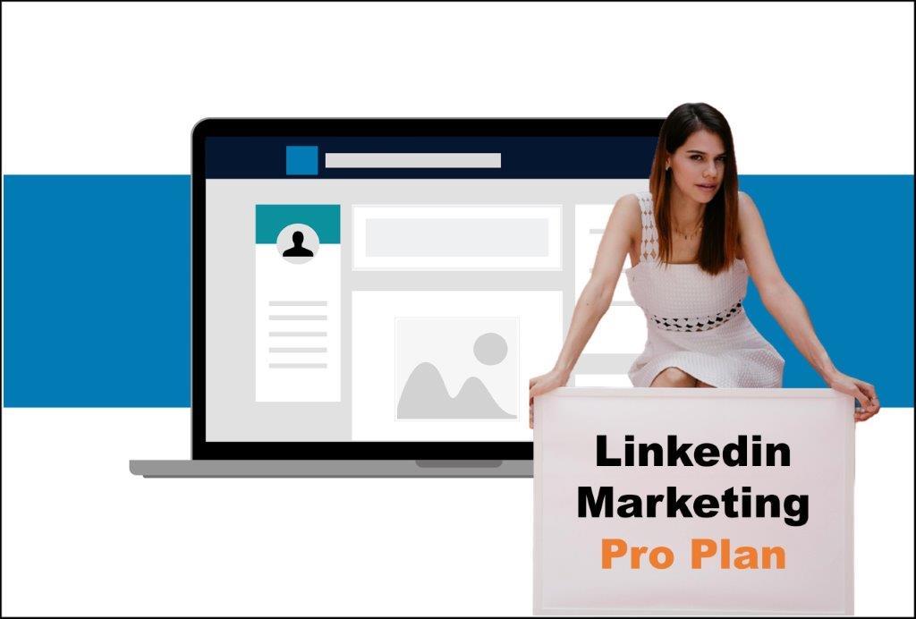 linkedin marketing agency in Madison Wisconsin