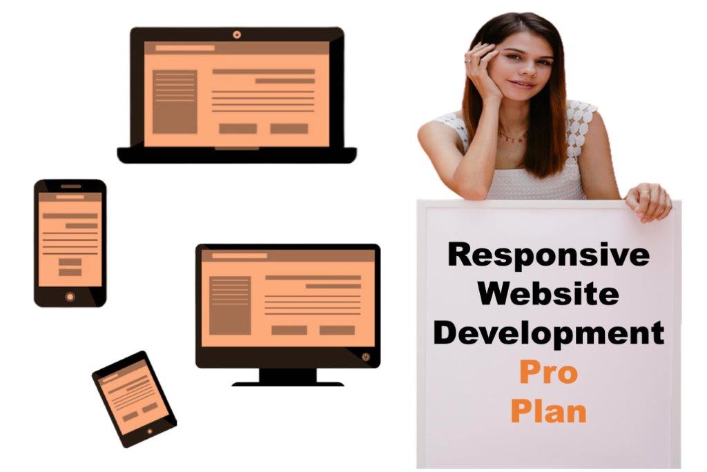 expert responsive website development agency in Madison Wisconsin