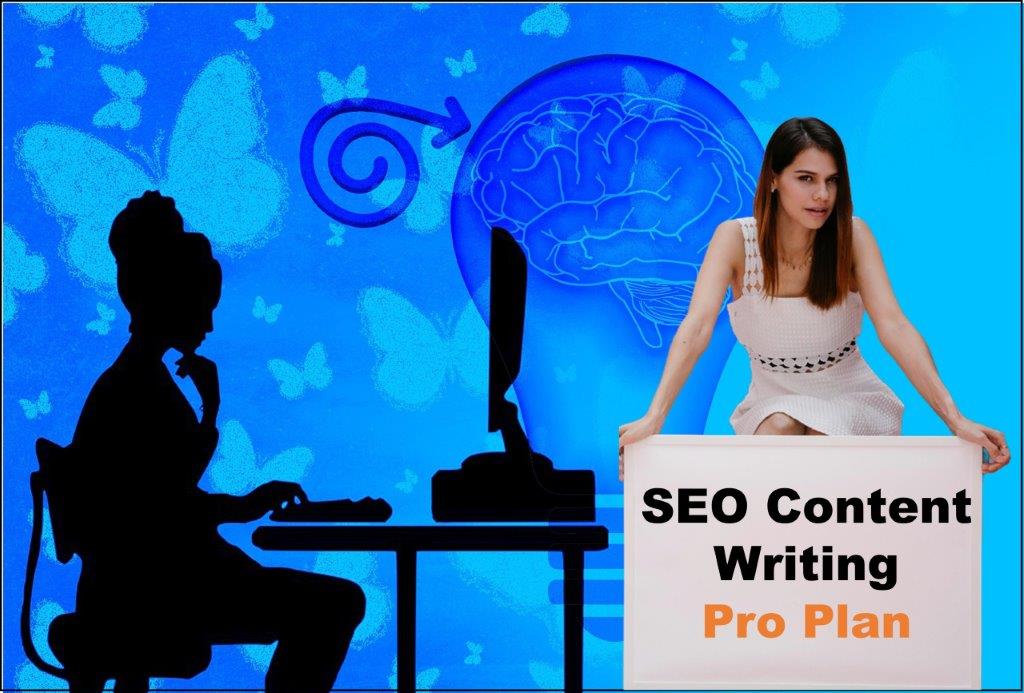 seo content writing agency Madison Wisconsin