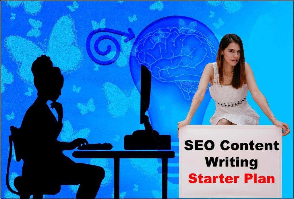 seo content writing service provider in Madison Wisconsin