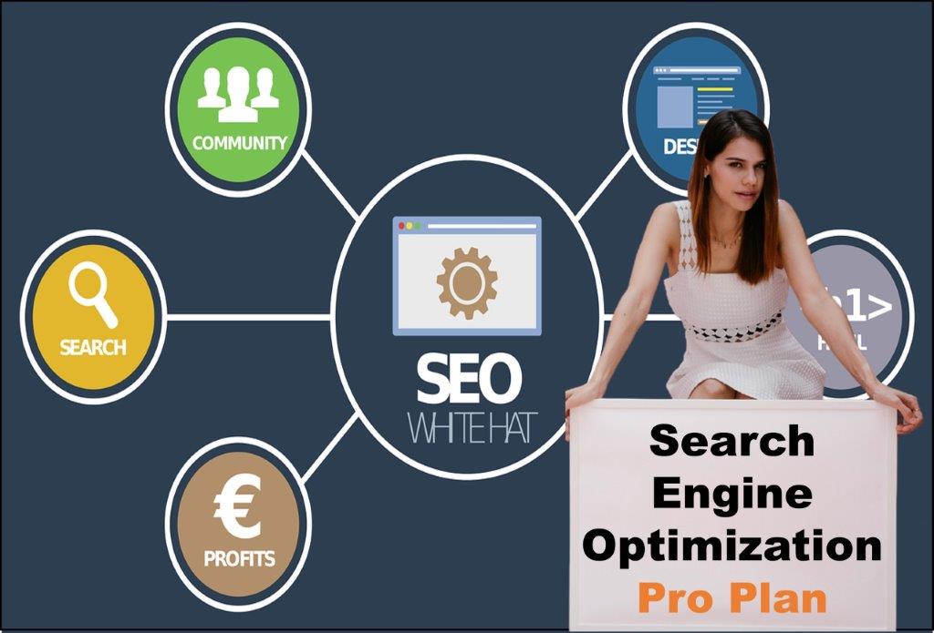 seo company Madison Wisconsin