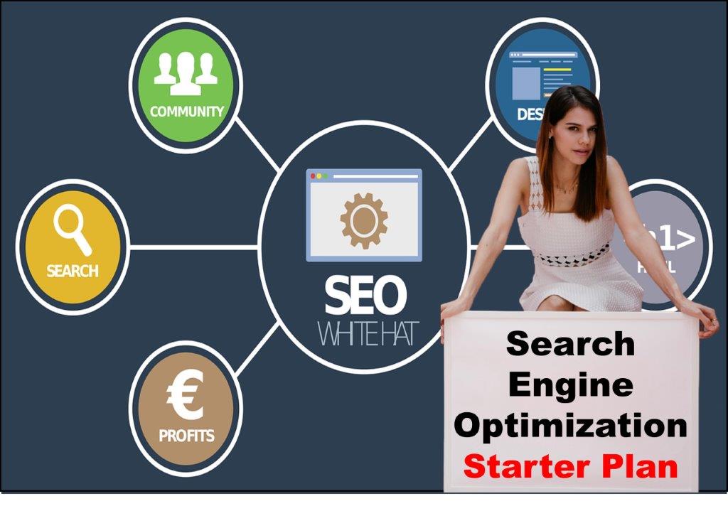 seo service provider in Madison Wisconsin