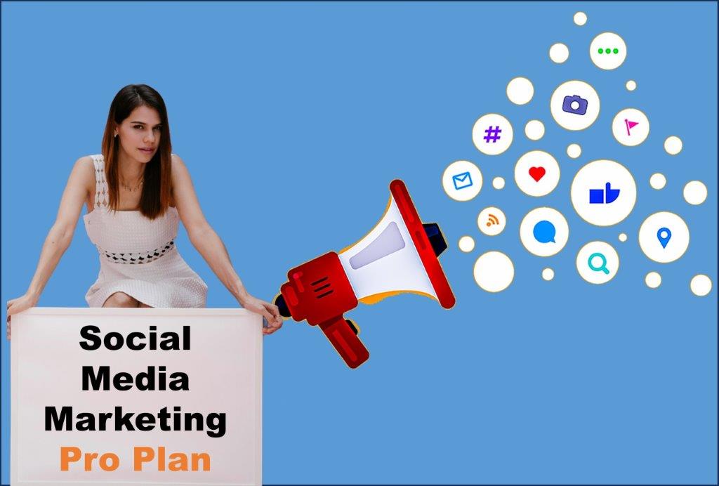 social media marketing company in Madison Wisconsin
