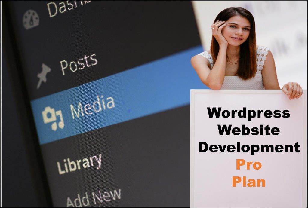 wordpress website designing in Madison Wisconsin