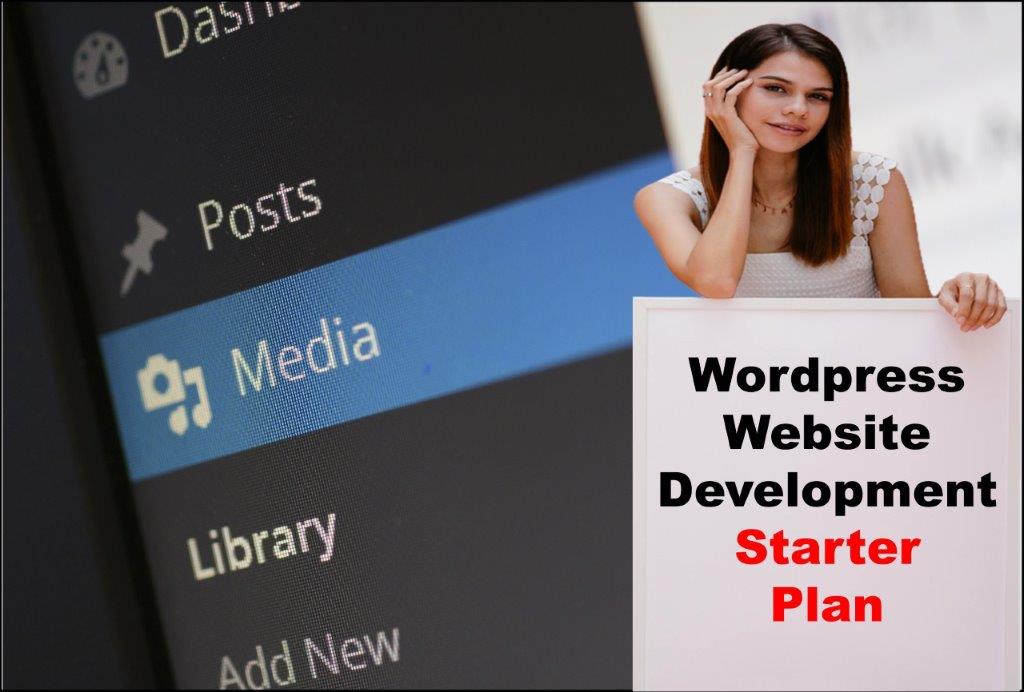 wordpress website development agency in Madison Wisconsin